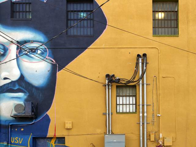 Teddy Roosevelt Mural