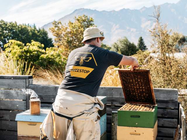 A bee keeper collecting honey with view of the Remarkables mountains in the background