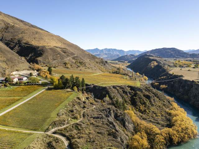 Overview of Gibbston in autumn with orange vineyards with mountains in the background and river flowing through the middle
