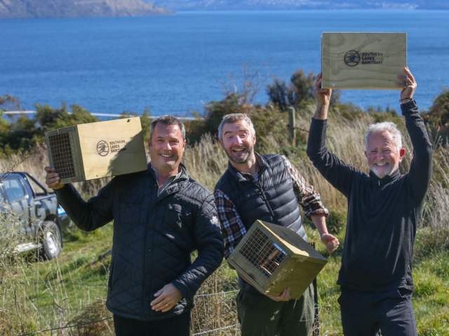 The AJ Hackett Bungy NZ team installing traps