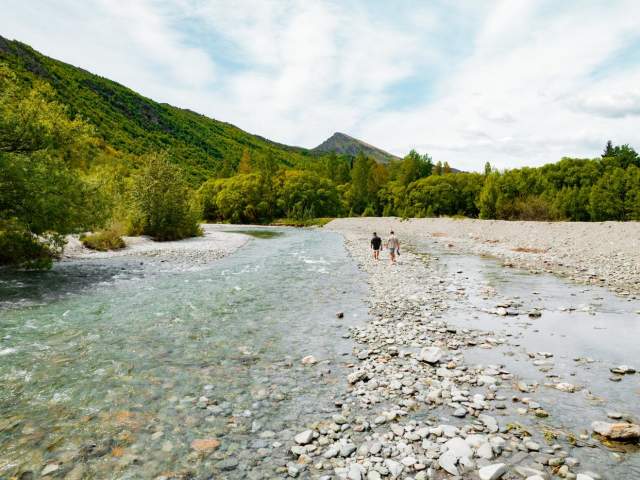 Shallow river surrounded by green trees