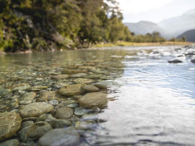 Close up of water and rocks - Dart River, Glenorchy