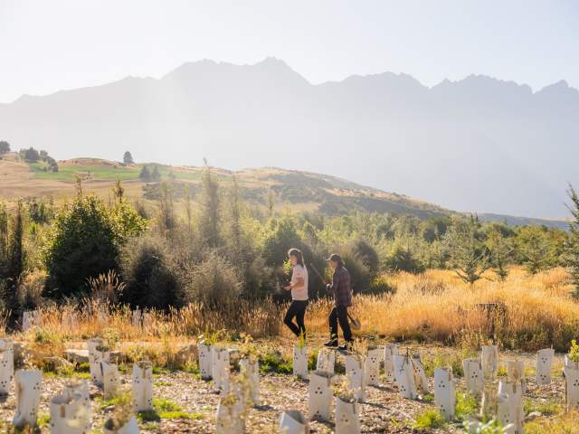 Love Queenstown x Whakatipu Reforestation Trust at Jardine Park