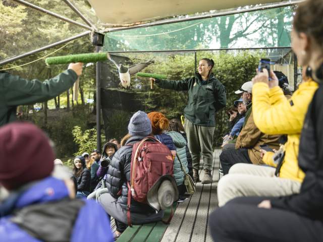 The Conservation Show at Kiwi Park Queenstown