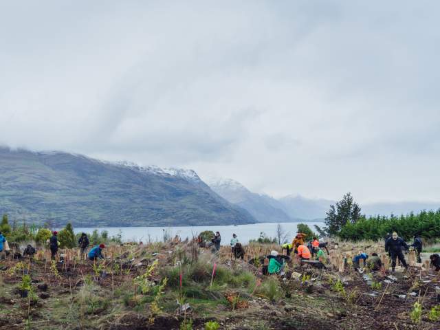 Love Queenstown Industry Planting Day