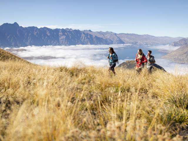 Ben Lomond Track in summer