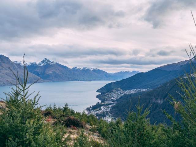 Wilding Conifers on Queenstown Hill