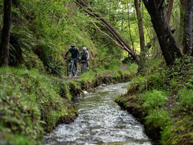 Bikers riding along river surrounded by green moss forest
