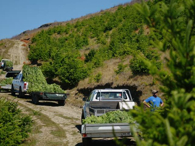Utes loaded up ready for Happiness House Deliveries