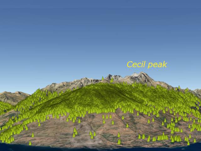 GPS mapping of removed wilding pines