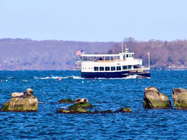 CruiseRI Seal Tour