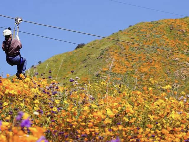 Skull Canyon Ziplines