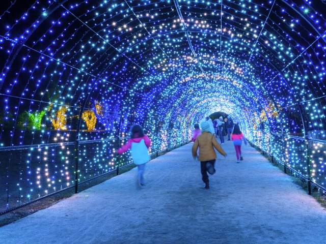 Holiday Activities on The San Francisco Peninsula