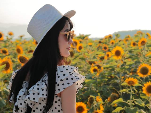 Your Perfect Fall Day Trip: Sunflowers & Pumpkins at Andreotti Family Farm