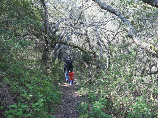 Things To Do In San Bruno, CA