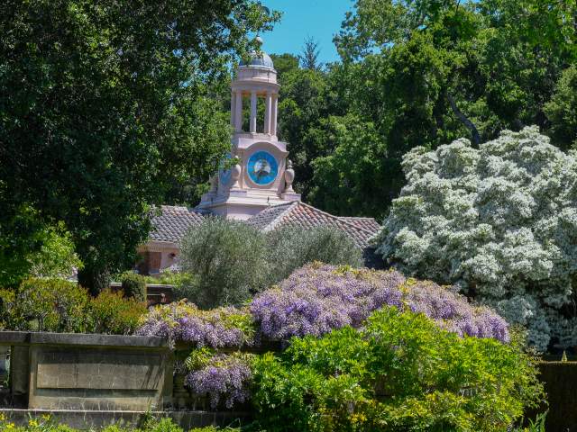 Spring Gardens on the San Francisco Peninsula