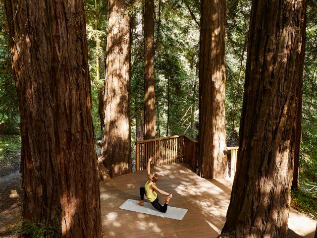 Discover Wellness Activities on The Peninsula: The Healthiest County in California