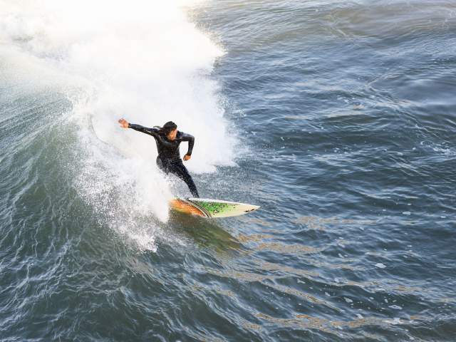 Shell hotsell beach surf