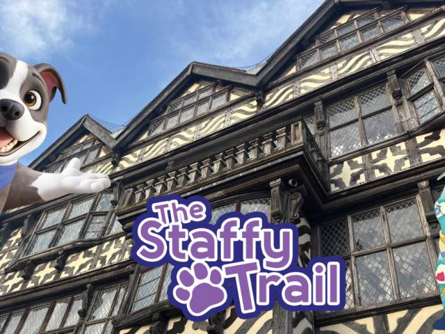 Explore Staffy Trail in Stafford