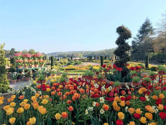 Spring Bulb Festival display