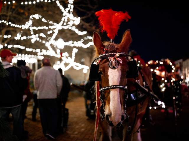 Christmas Traditions horse