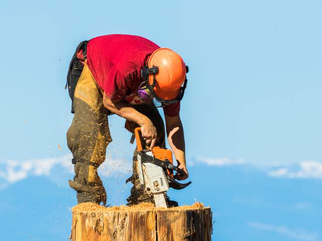 Powell River Logger Sports