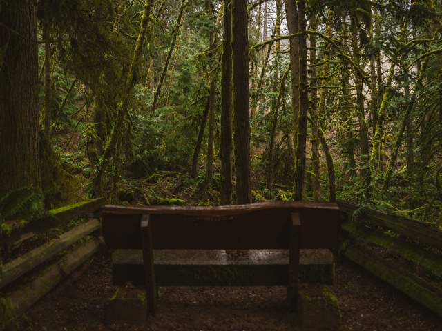 Bench at Burnett Falls Park