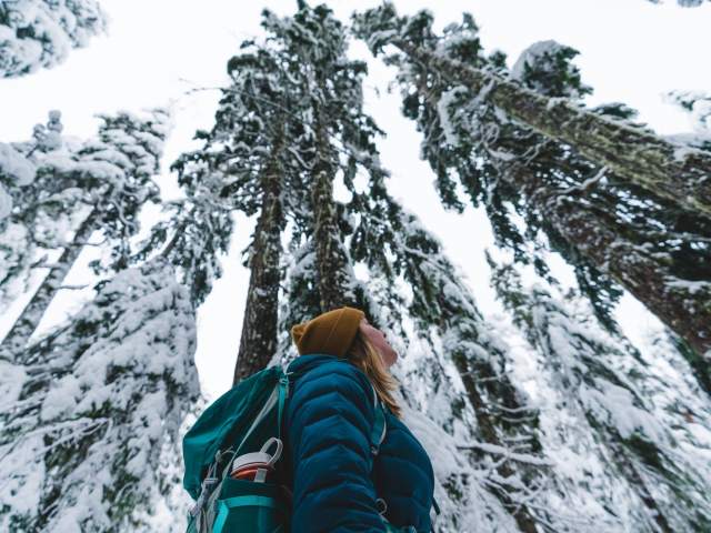 A woman looks up at the snowy trees.