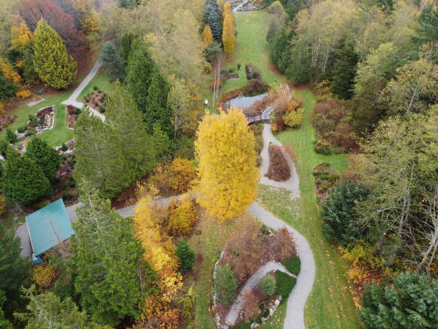 An aerial image of fall colours at the garden