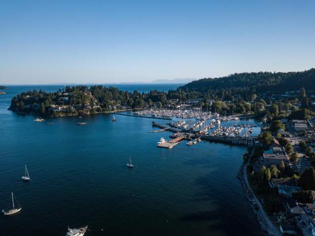 Gibsons