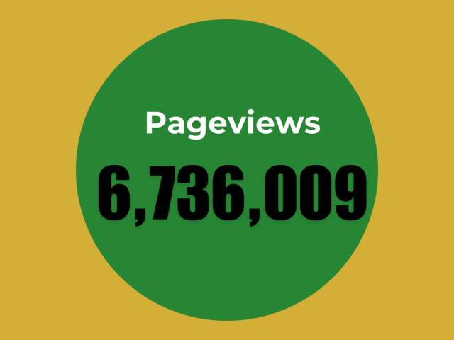 Visit Surrey pageviews 2026