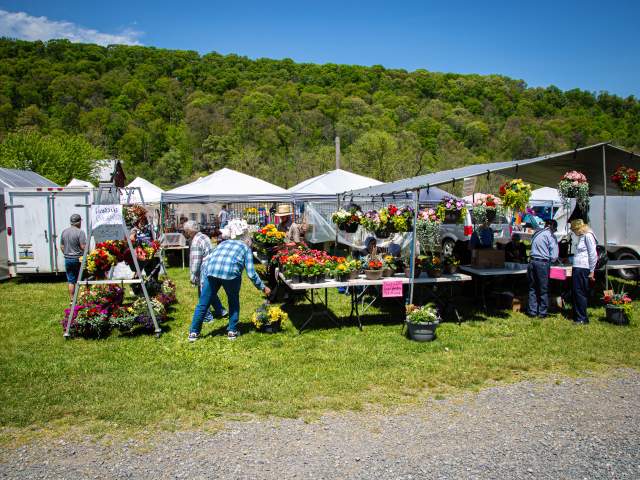 Middlecreek Show