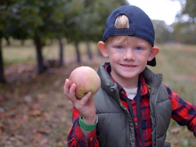 Green's Fruit Farm