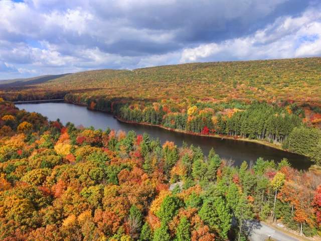 Beautiful Fall Foliage at Weiser State Forest