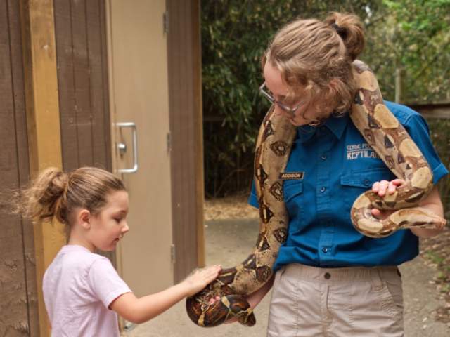 Snake at Reptiland