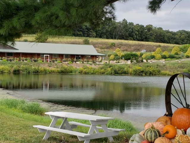 Ponduce Farms
