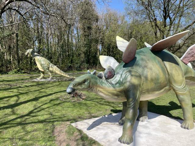Stegosaurus
