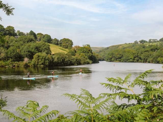 People paddleboarding on Lliw Reservoir