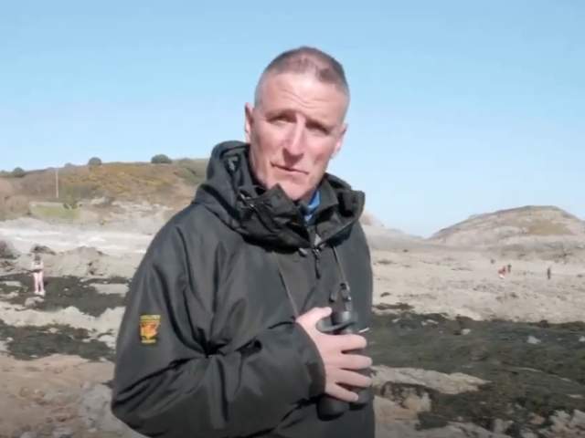 iolo williams mumbles