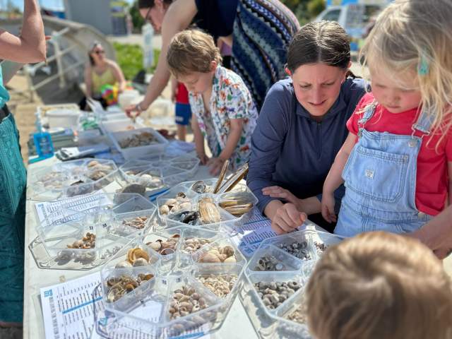 Swansea Sea Festival Crafts