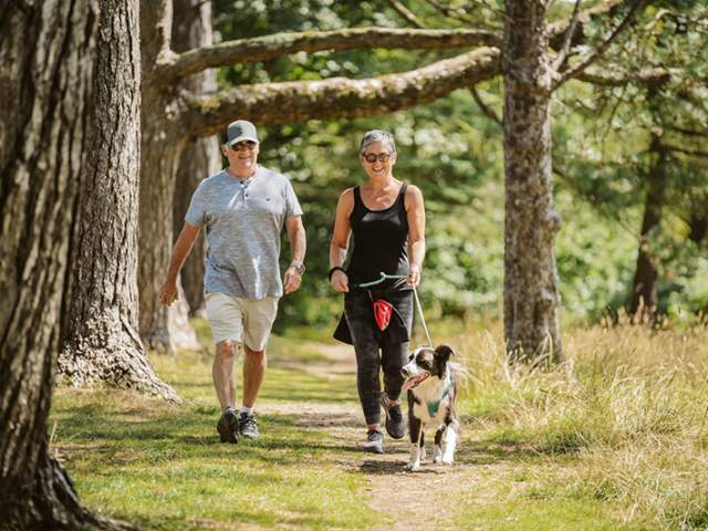 Couple walking with dog