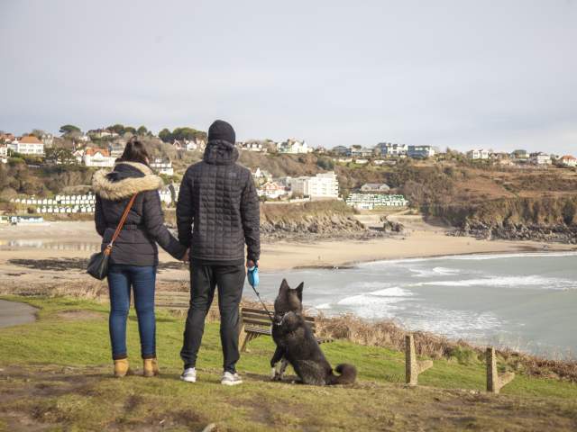 Couple walking their dog in the winter