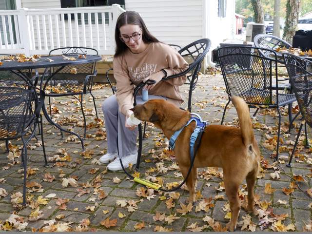 Maggie and Moes patio