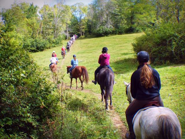 Marmon Valley Farm