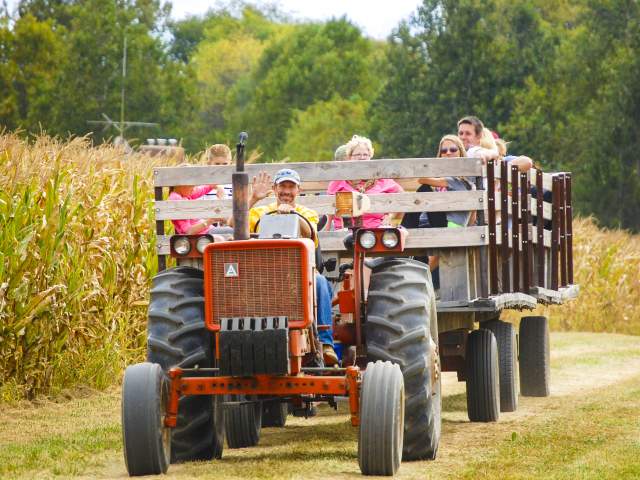 Maize Hay Ride