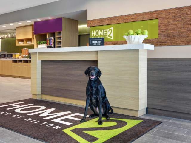 If you're planning a weekend getaway with your furry friend, finding dog-friendly lodging can be a challenge. Fortunately, there are options available that cater to pet owners; in fact, several hotels in Union County welcome dogs with open arms.    When searching for dog-friendly lodging, it's important to consider your pet's needs. Look for accommodations that offer pet-friendly amenities like fenced-in yards, dog beds, and food and water bowls. It's also important to check the pet policy and any associated fees before booking.   Hotels Offering Pet Friendly Rooms: Home2 Suites, Super 8 and Quality Inn Hotels That Welcome Service Animals: Fairfield Inn & Suites, Hampton Inn, Holiday Inn Express Pet-Friendly Camping: Pastime Campground & Park and Richwood Lake Park