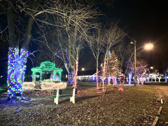 Richwood Park Lake Lights