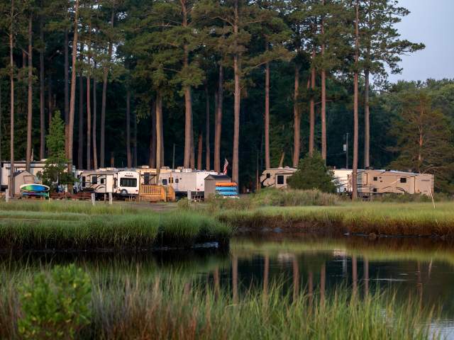 vap camping Why THCa Disposable Vapes Are Changing the Game for Canadian Campers main image 1