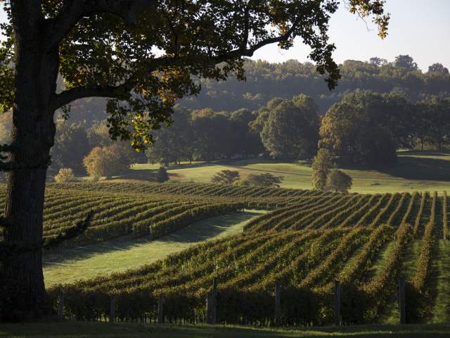 Winery nearby on sale