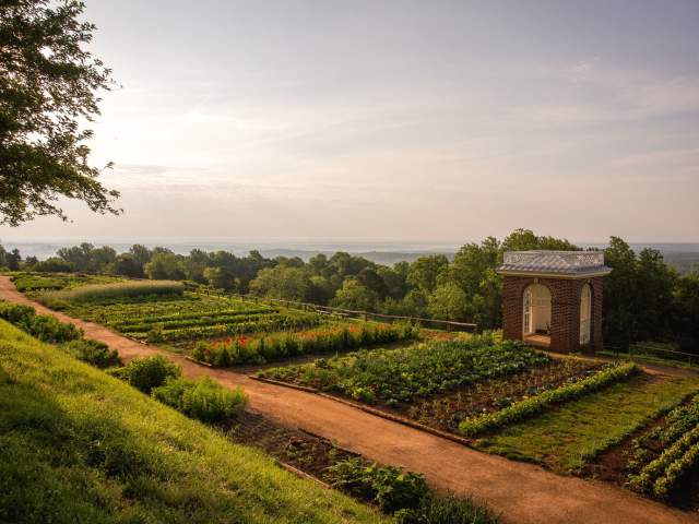 Monticello top wine trail
